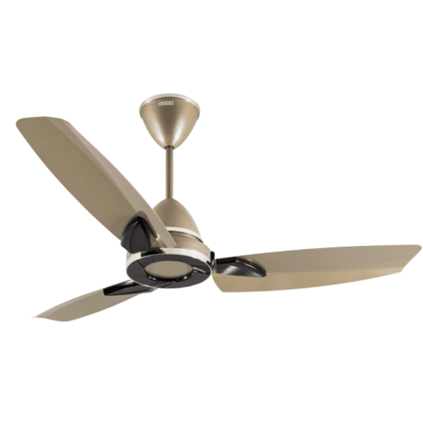 Usha Onio Lambda Beta